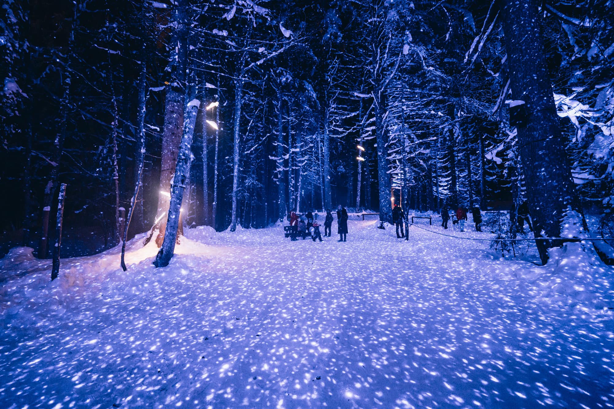 Les Gets Alta Luminere