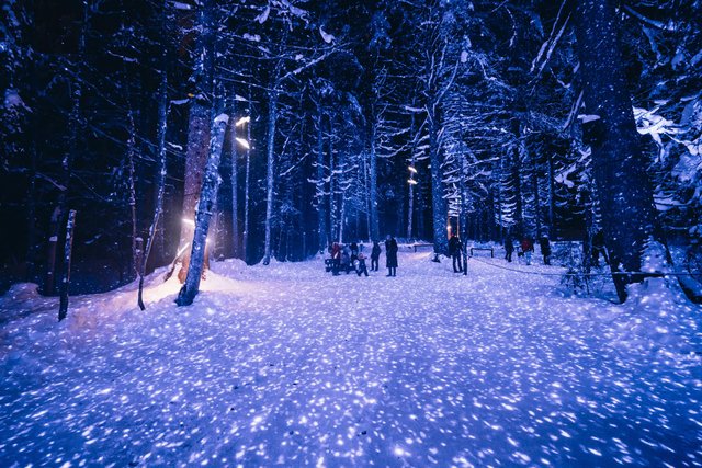 Les Gets Alta Luminere