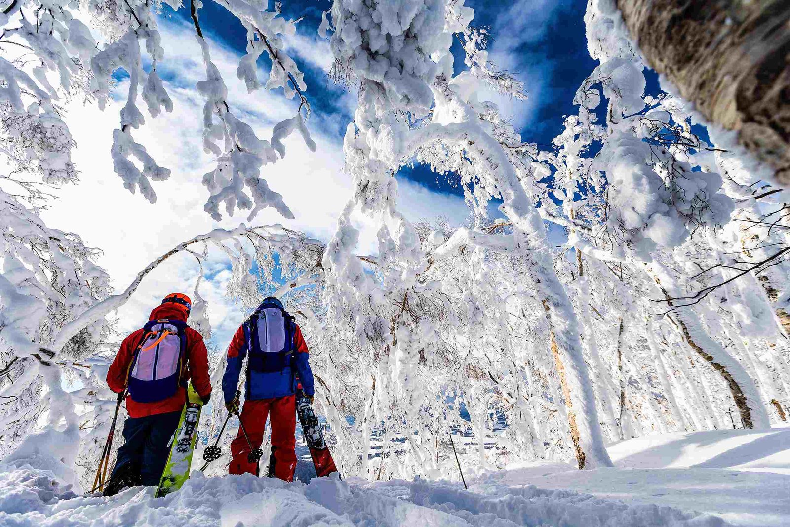 Niseko vs Rusutsu Ski Resorts, Japan