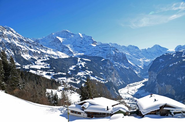 Wengen valley view
